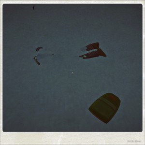 thelongdark6