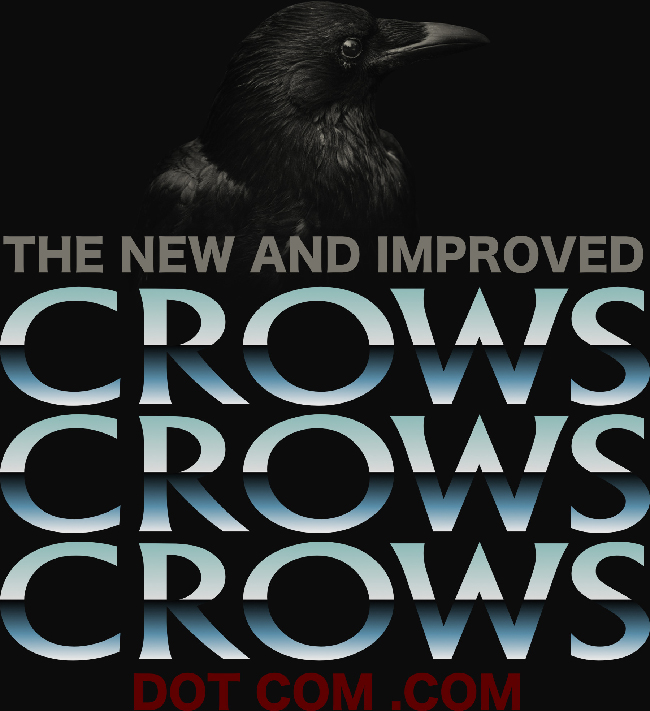 Photo of a black crow, set over the text, “The new and improved Crows Crows Crows dot com.com.”