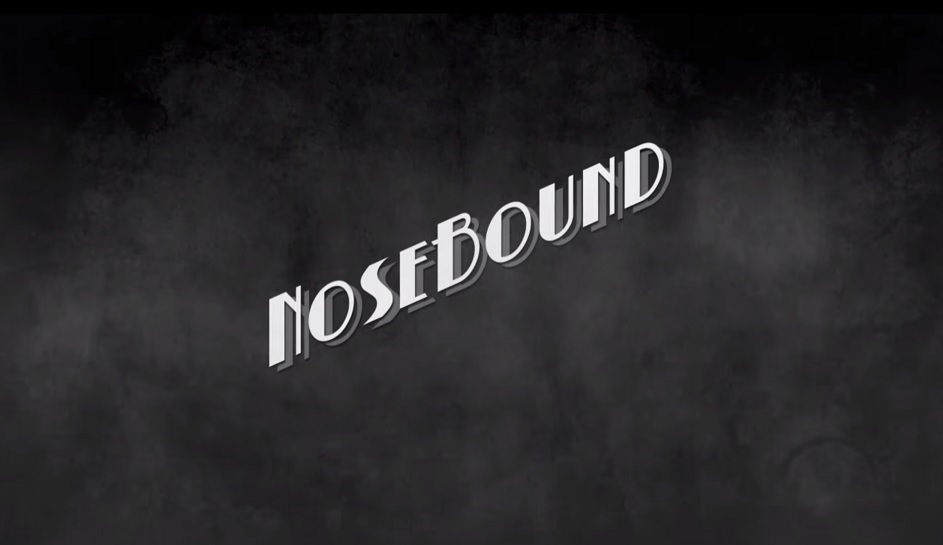 NoseBound is an episodic adventure game. A detective story in the vein of film noir and paranormal mysteries and it's on IndieGogo